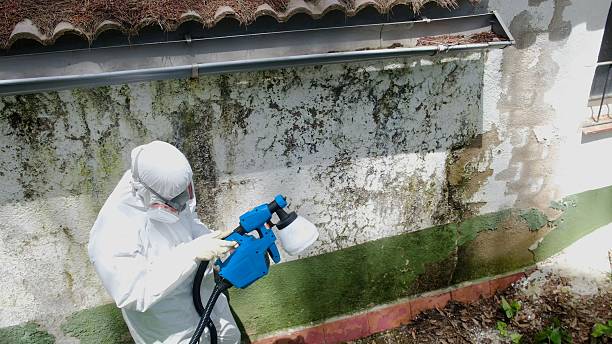 Top rated local Mold Inspection And Testing specialists in Ault, CO
